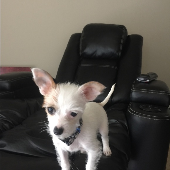 Meet your Posher, Derek - Picture 1 of 1